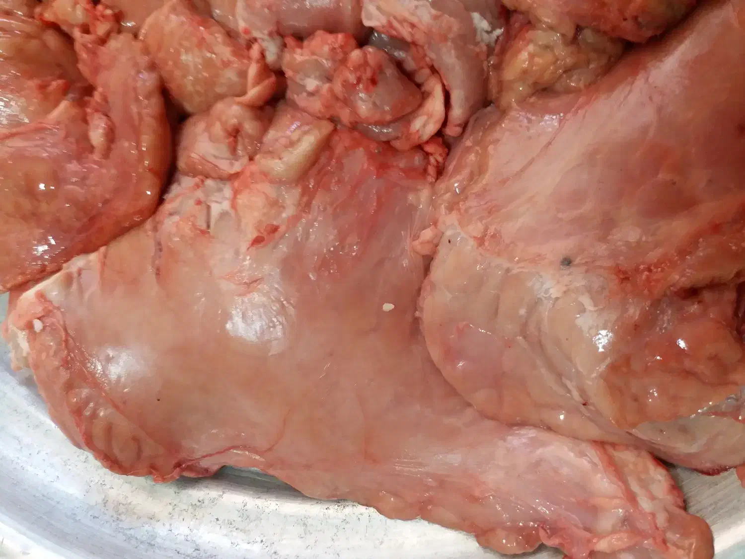 خوشگوشت گاوی|خوردنی و آشامیدنی|قم, شهید صیاد شیرازی|دیوار