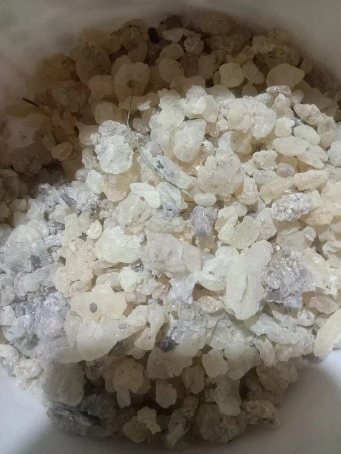 سقز تمیز|حراج|پشتکوه (فارس), |دیوار