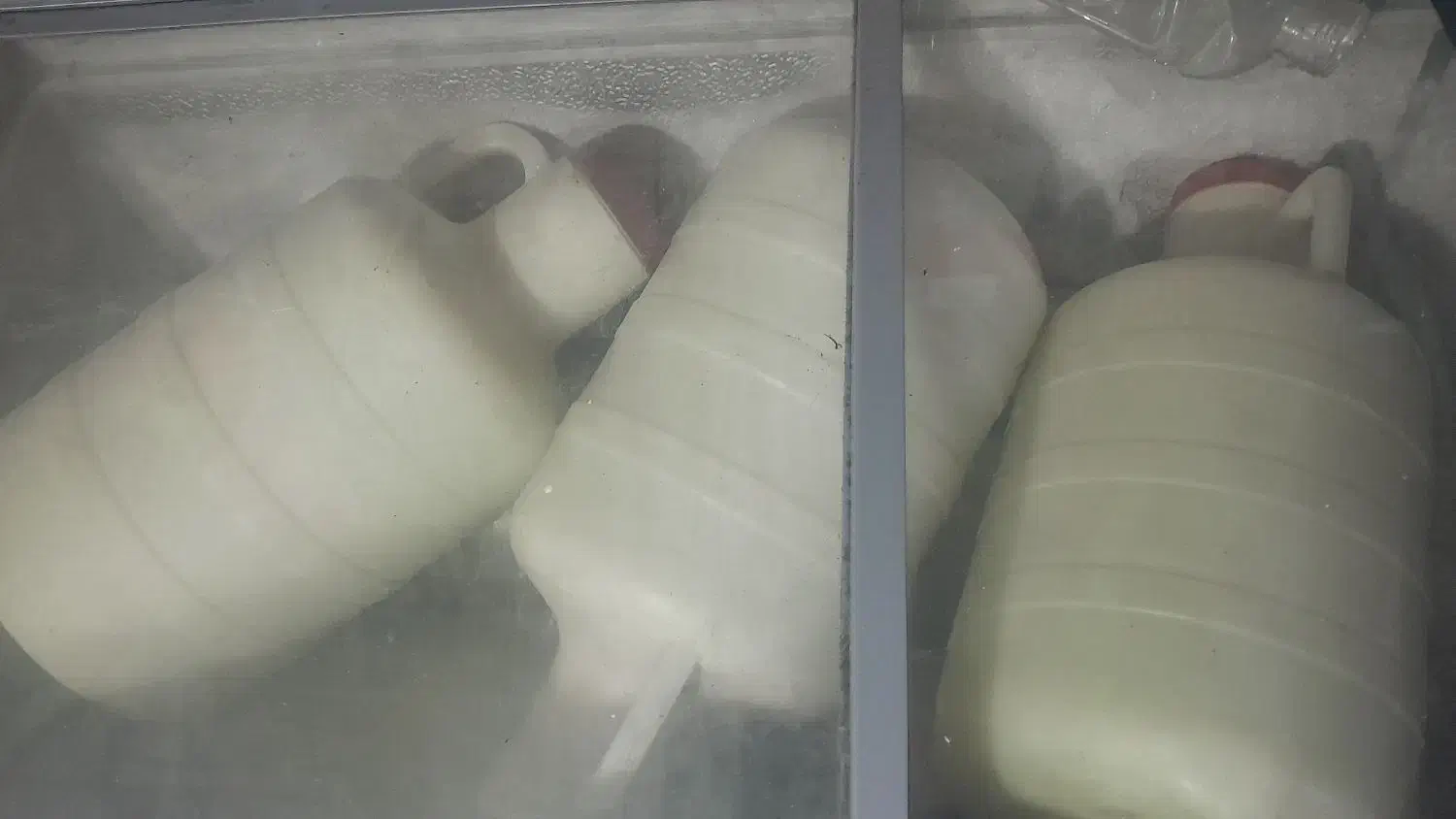 فروش شیر گامیش|خوردنی و آشامیدنی|کارون, |دیوار