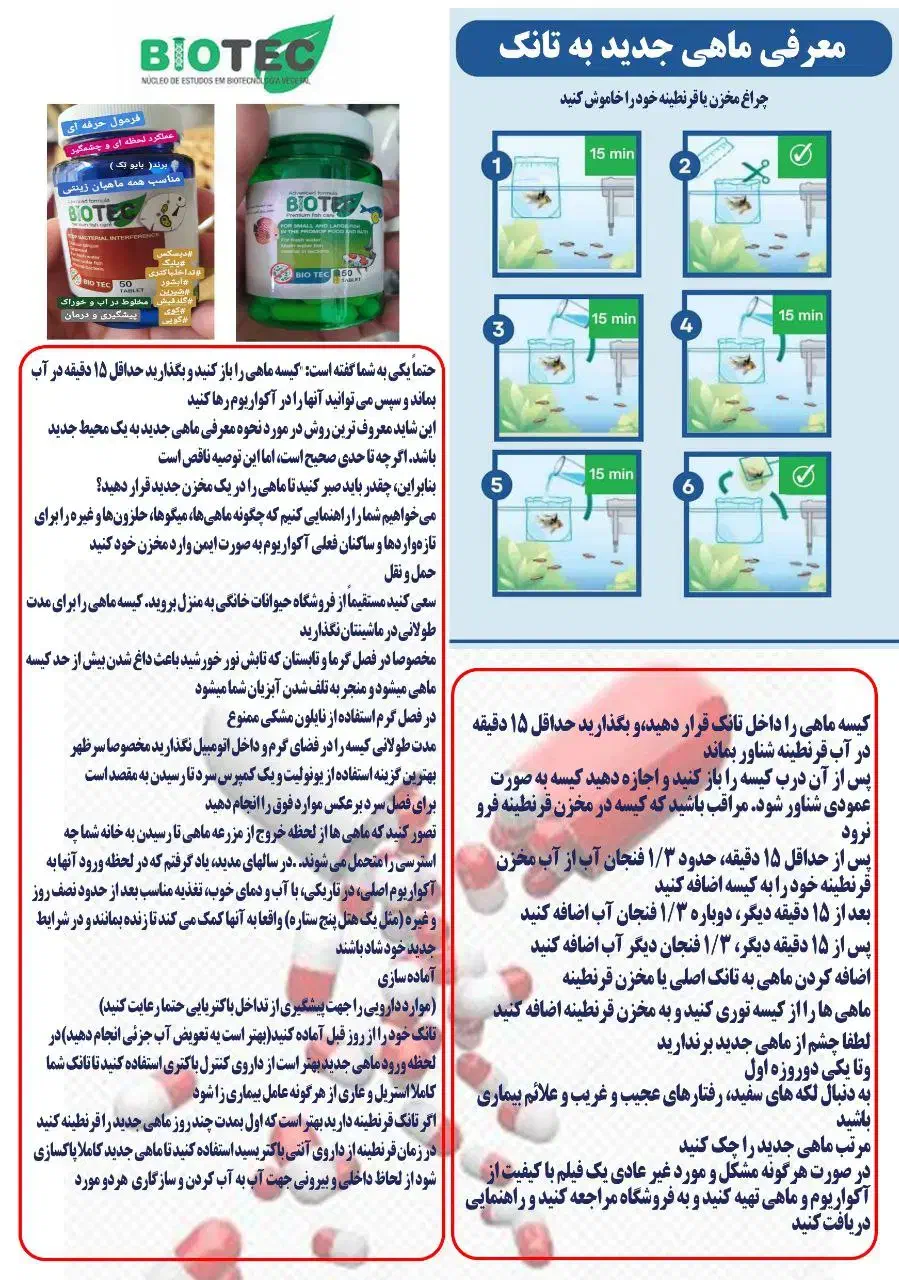 تداخل باکتری.عفونت داخلی کیسه هواگلدفیش .دیسکس و..|ماهی|تهران, افسریه شمالی|دیوار