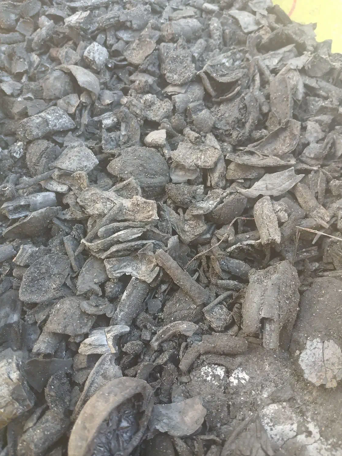 ذغال|عمده‌فروشی|تویسرکان, |دیوار