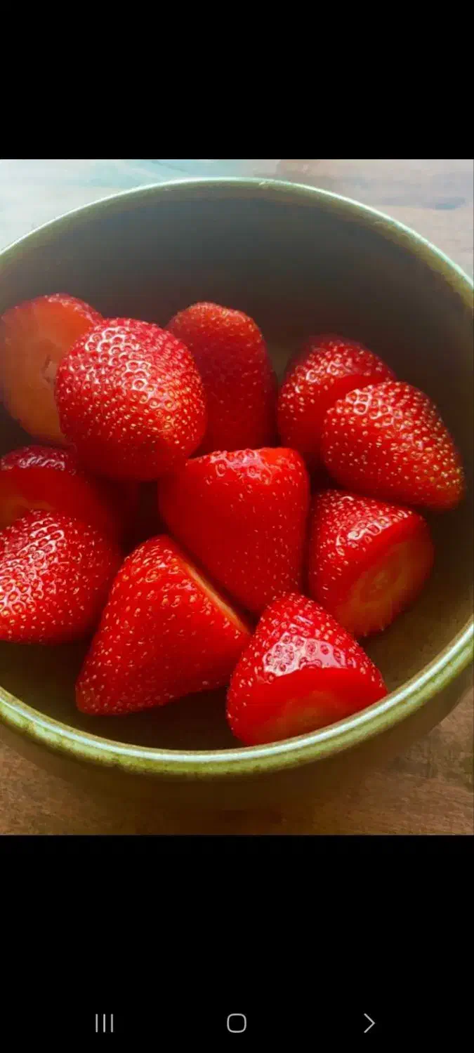 گردش|تور و چارتر|تبریز, |دیوار