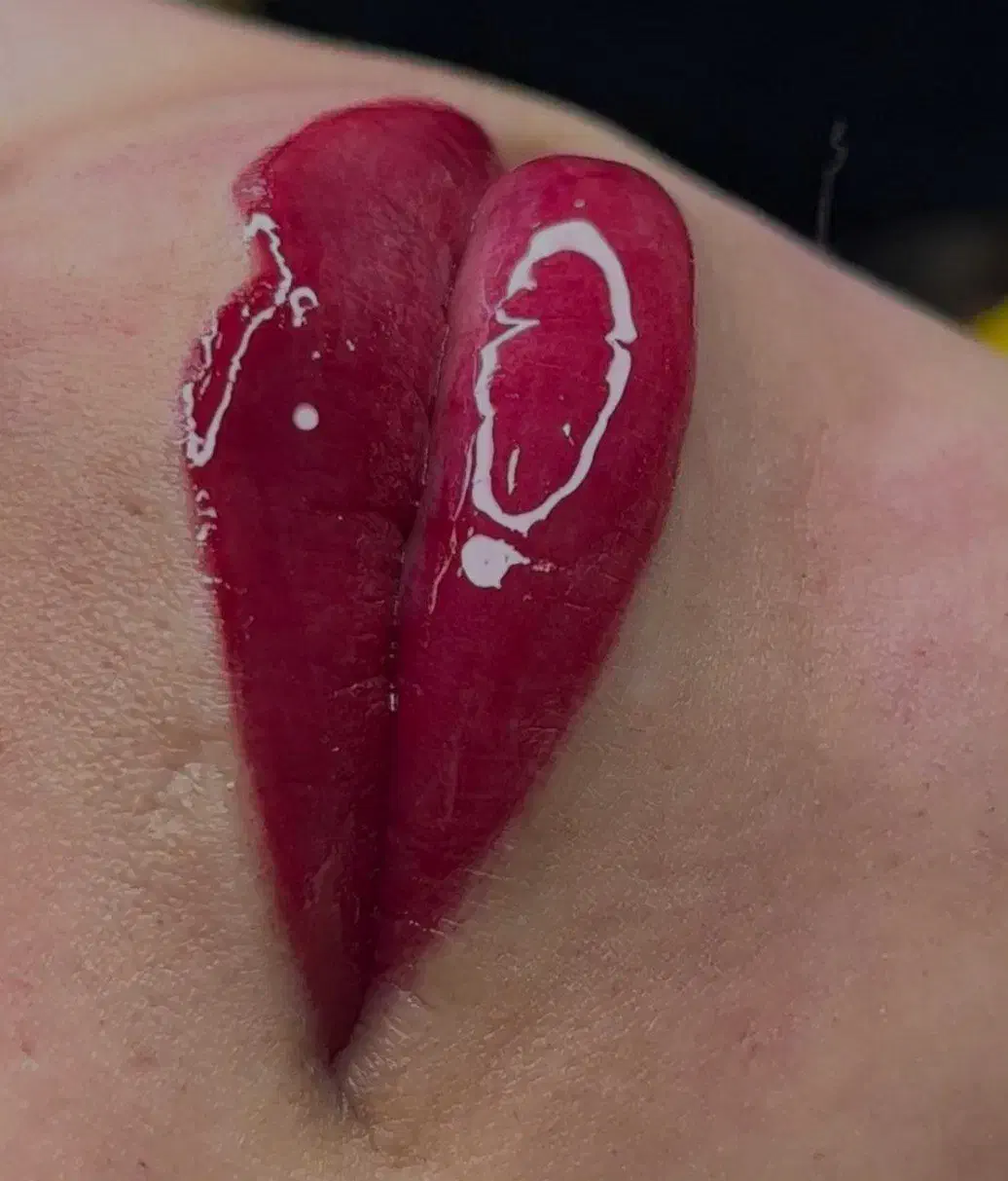 خدمات آرایش دائم با تخفیفات بلک فرایدی|خدمات آرایشگری و زیبایی|تربت جام, معدآباد|دیوار