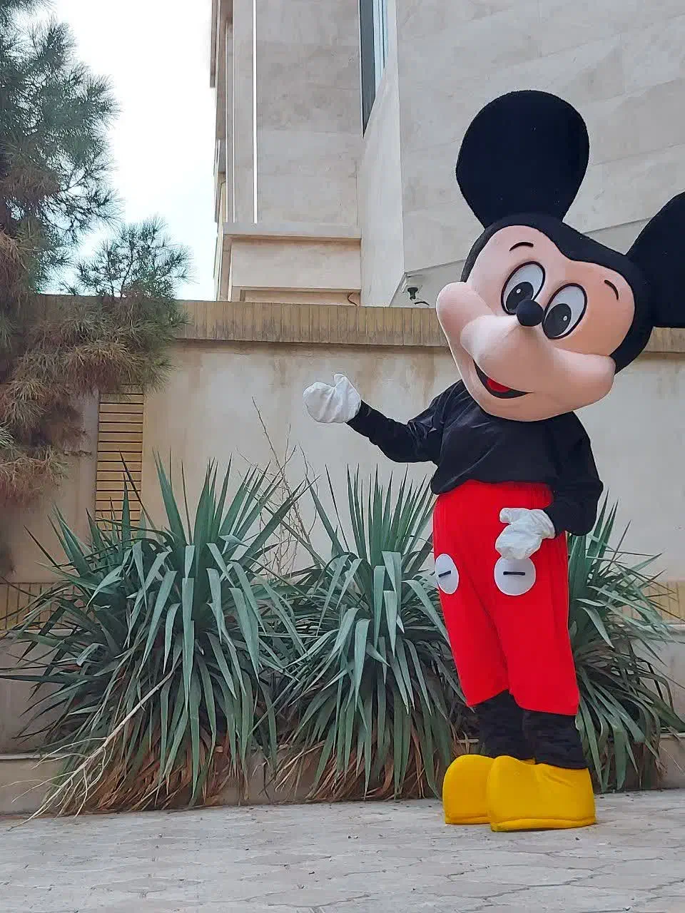 تنپوش عروسکی|اسباببازی|نوشین شهر, |دیوار