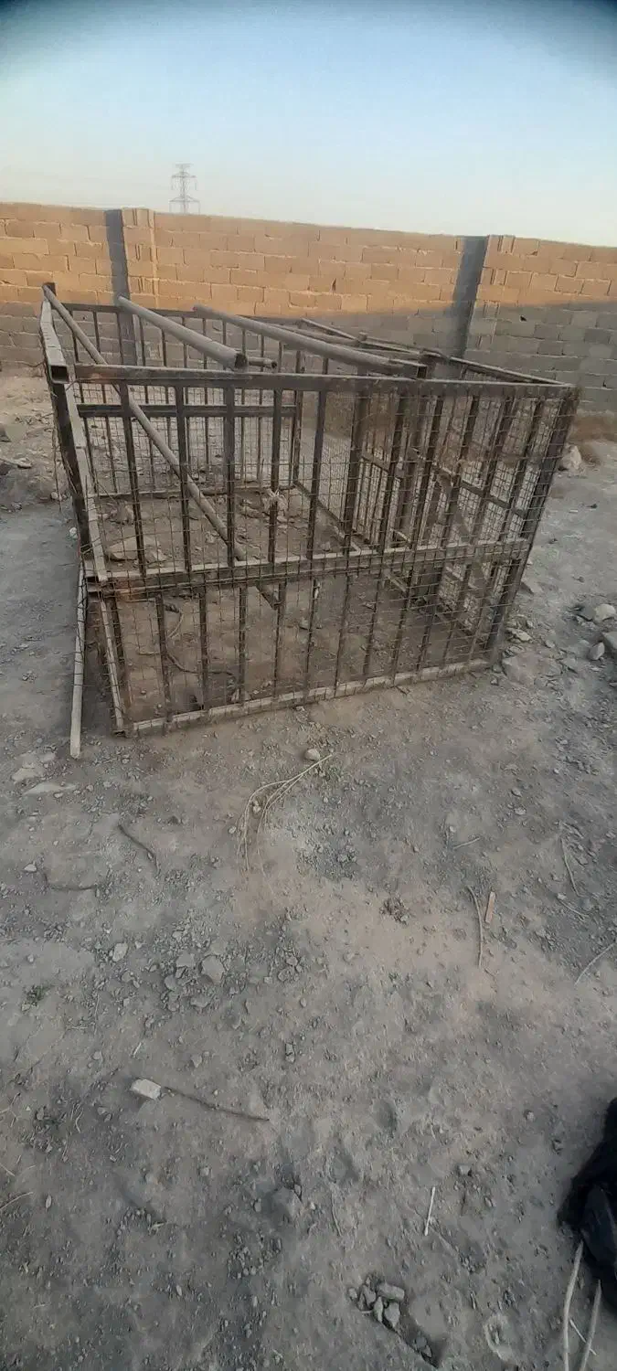 قفس بزرگ|لوازم جانبی حیوانات|هشتگرد, هشتگرد قدیم|دیوار