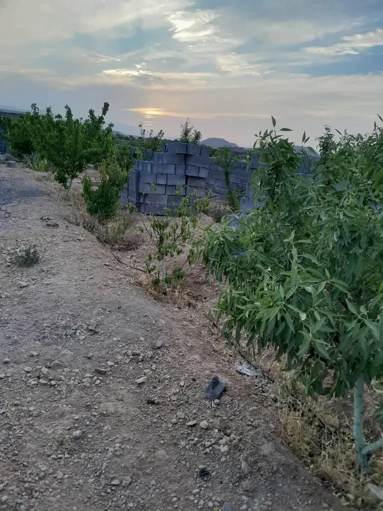 باغ در مجلسی مبارکه|فروش خانه و ویلا|مبارکه, |دیوار