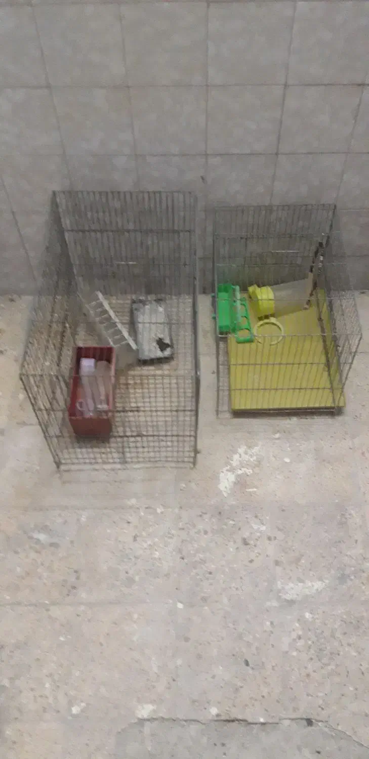 دو عدد قفس|لوازم جانبی حیوانات|تهران, استاد معین|دیوار