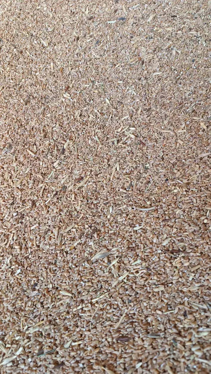 گندم شکسته|عمده‌فروشی|قوچان, |دیوار