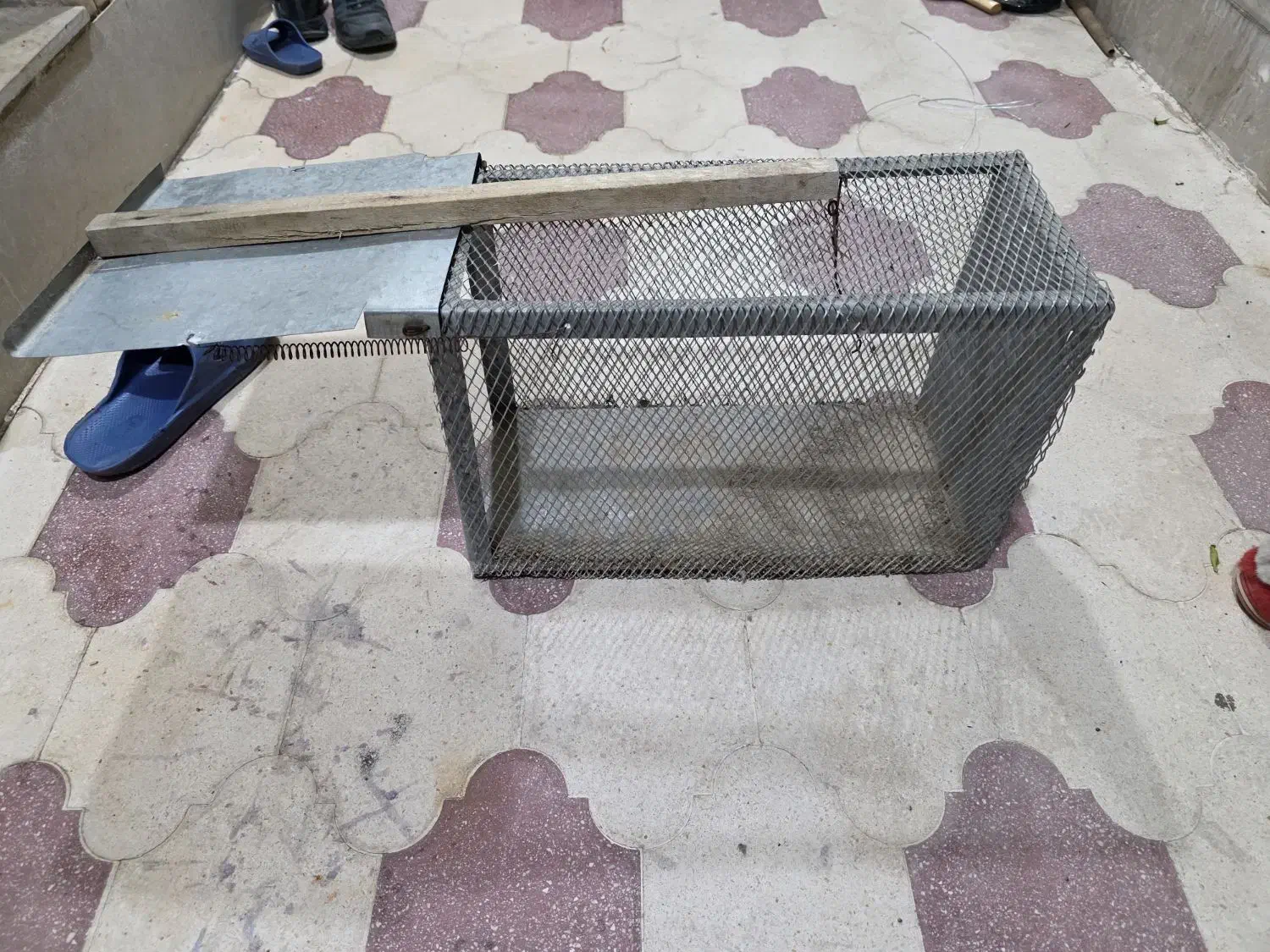 تله گربه و سمور گیری|لوازم جانبی حیوانات|شیراز, پودنک|دیوار