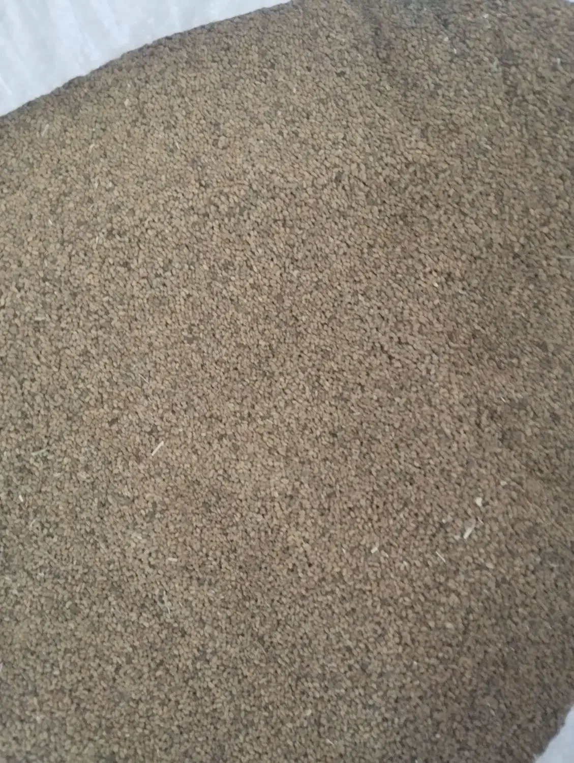 بذر یونجه درجه یک|عمدهفروشی|میان جلگه, |دیوار