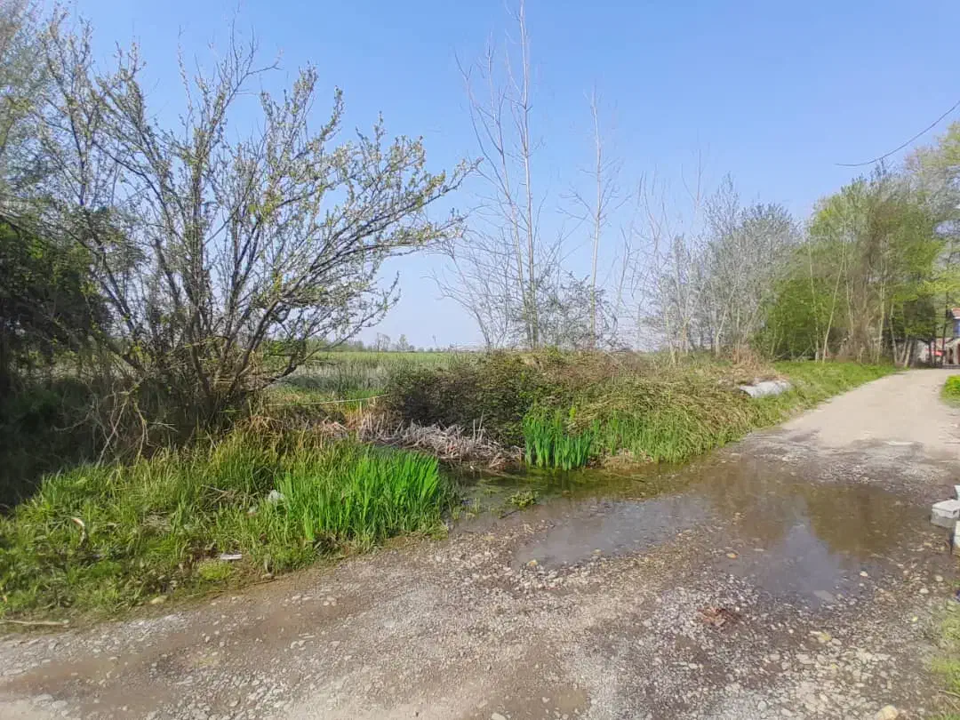 ۵۴۰متر زمین درکوی استادان لاهیجان|فروش زمین و ملک کلنگی|لاهیجان, کوی استادان|دیوار