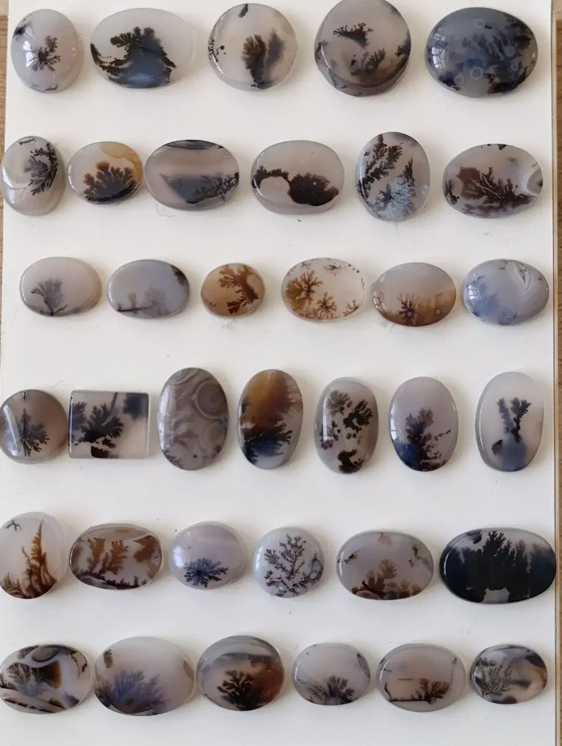 نگین شجر معاوضه با پرنده|جواهرات|قائن, |دیوار