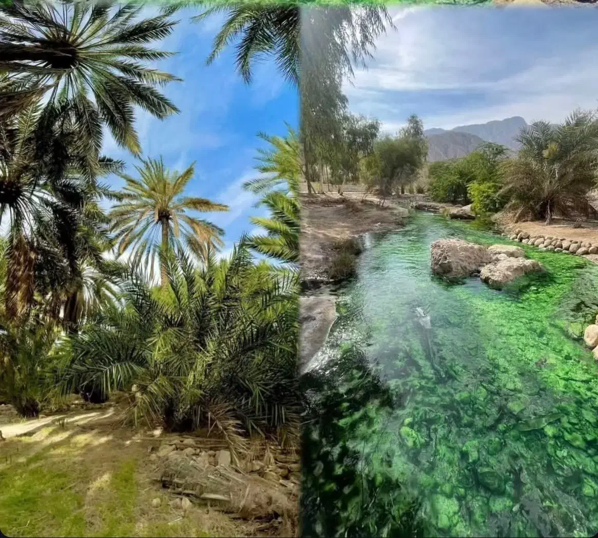 همسفر جنوب|فعالیت داوطلبانه|شهرکرد, |دیوار