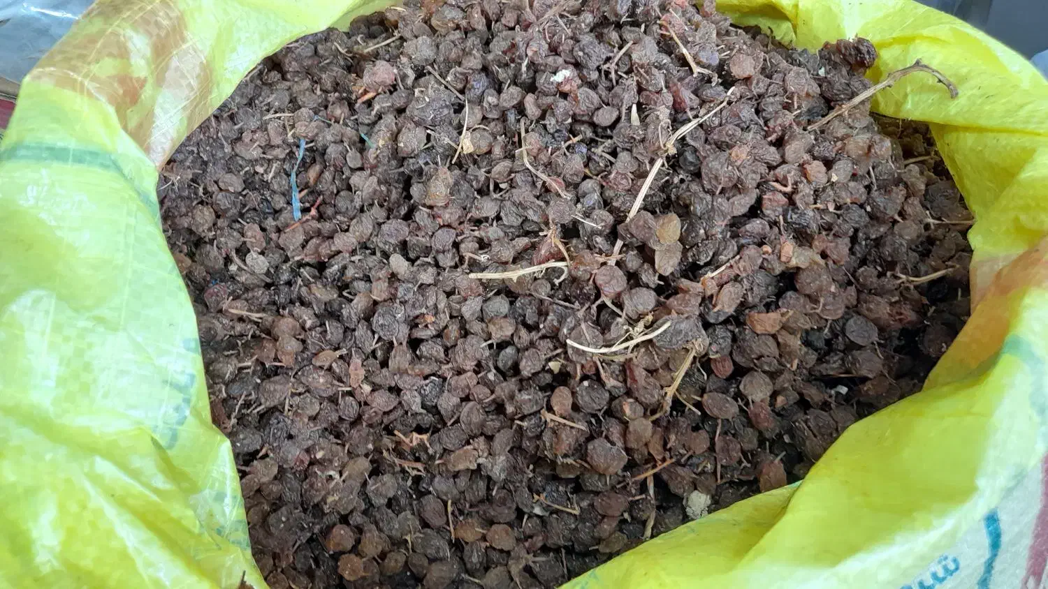 کشمش افتابی.|خوردنی و آشامیدنی|باغستان, |دیوار