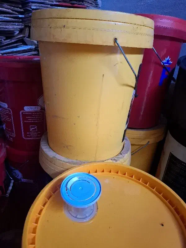 سطل ۲۰لیتری|ظروف نگهدارنده، پلاستیکی، یک‌بارمصرف|میاندوآب, |دیوار