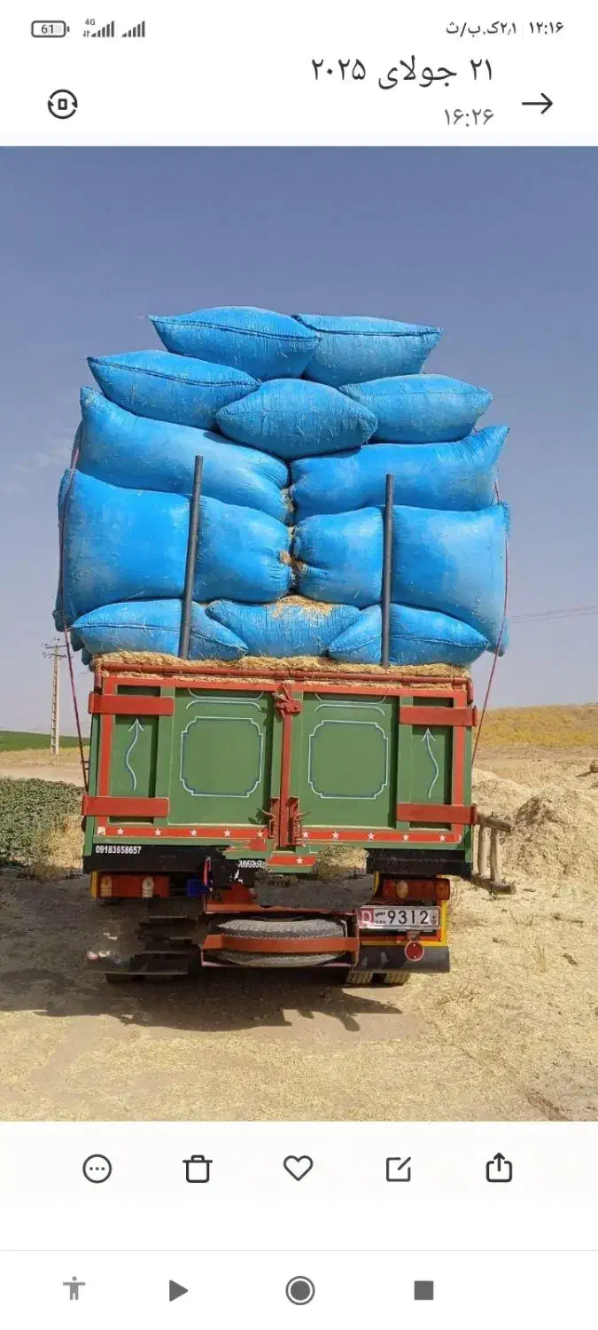 فروش کاه سفید|خدمات باغبانی و درختکاری|گلپایگان, |دیوار