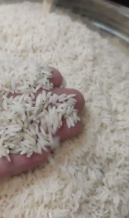 برنج هاشمی معطر کشت دوم و اول|خوردنی و آشامیدنی|تربتحیدریه, حسنی بالا|دیوار