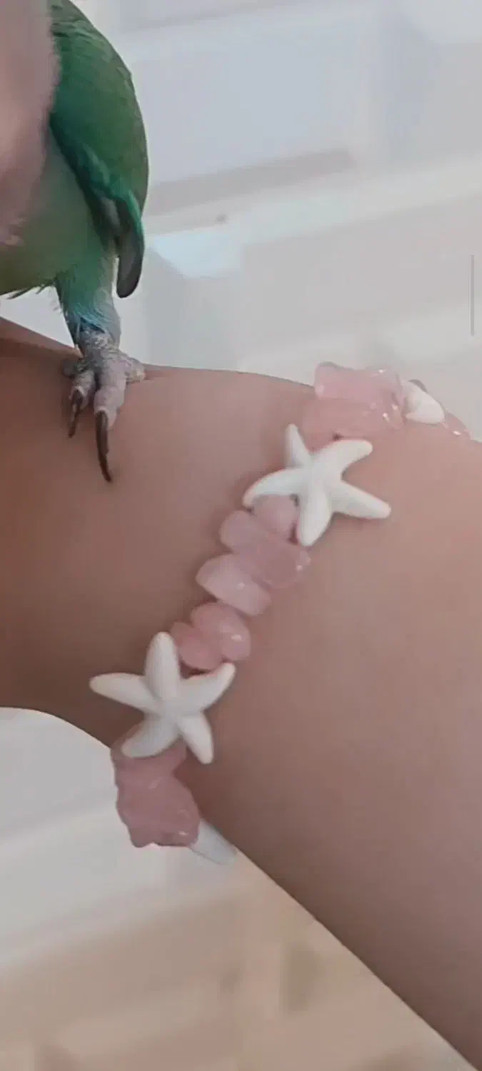 دستبند سنگ طبیعی رز کوارتز|جواهرات|قم, براسون|دیوار