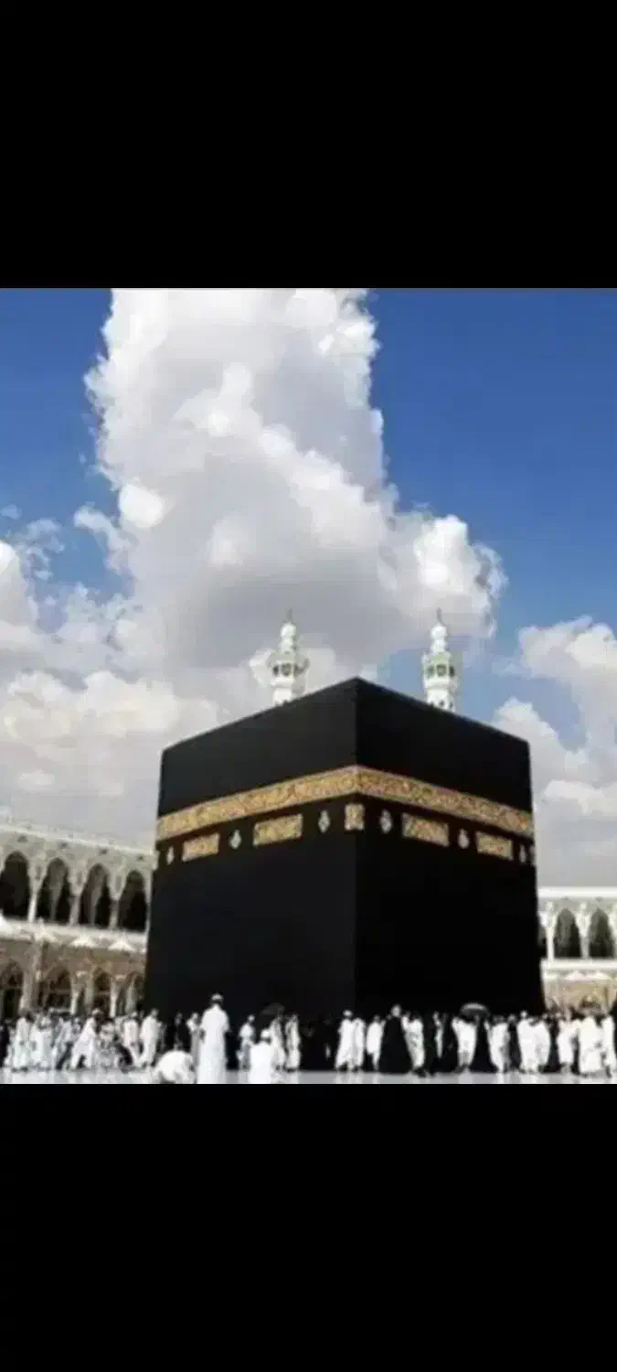 دو عدد فیش حاج عمره|تور و چارتر|گرگان, |دیوار