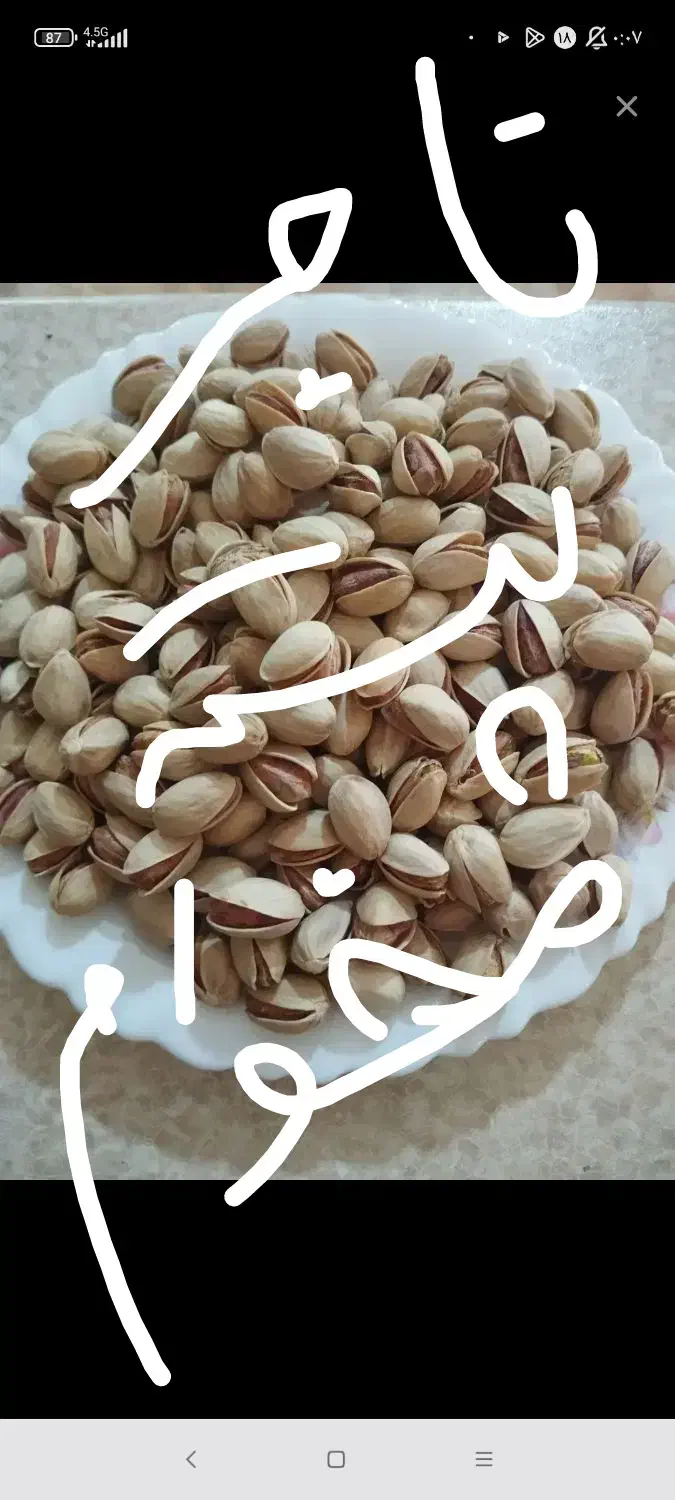 در زمینه ی صادرات پسته کمک میخوام|فعالیت داوطلبانه|یزد, |دیوار