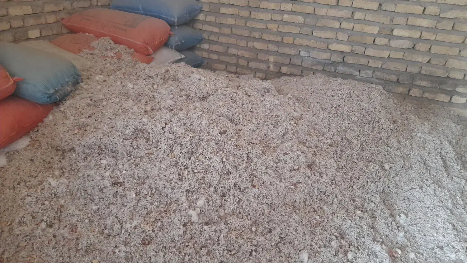 پنبه تخم برای دام گاو و گوسفند|لوازم جانبی حیوانات|زرین دشت (فارس), |دیوار