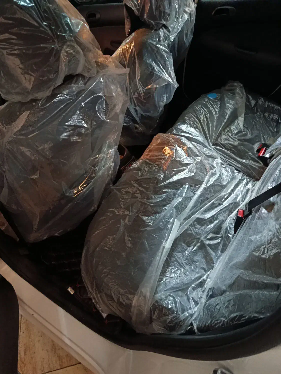 207پانا مدل 1403|خودرو سواری و وانت|کرمان, |دیوار