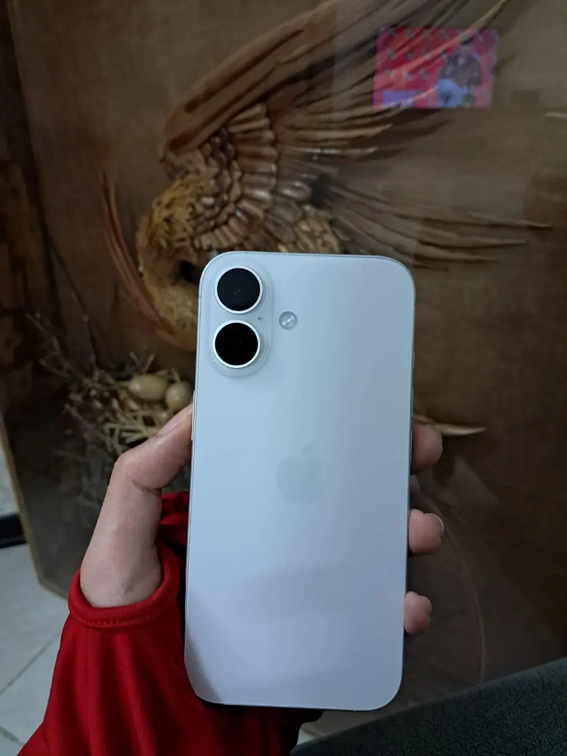 ۱۶ نرمال ریجستر شده|موبایل|قم, عمار یاسر|دیوار