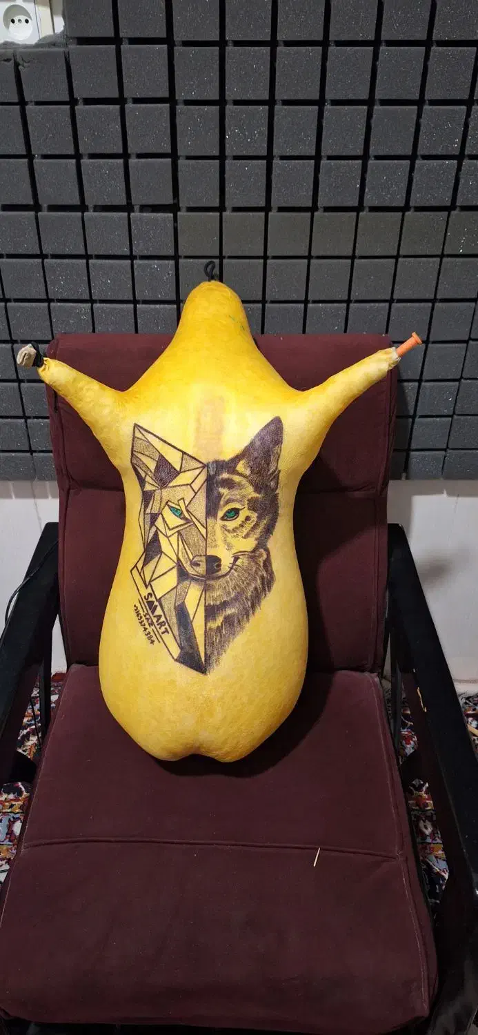 نی انبان|سازهای بادی|شیراز, بهارستان|دیوار