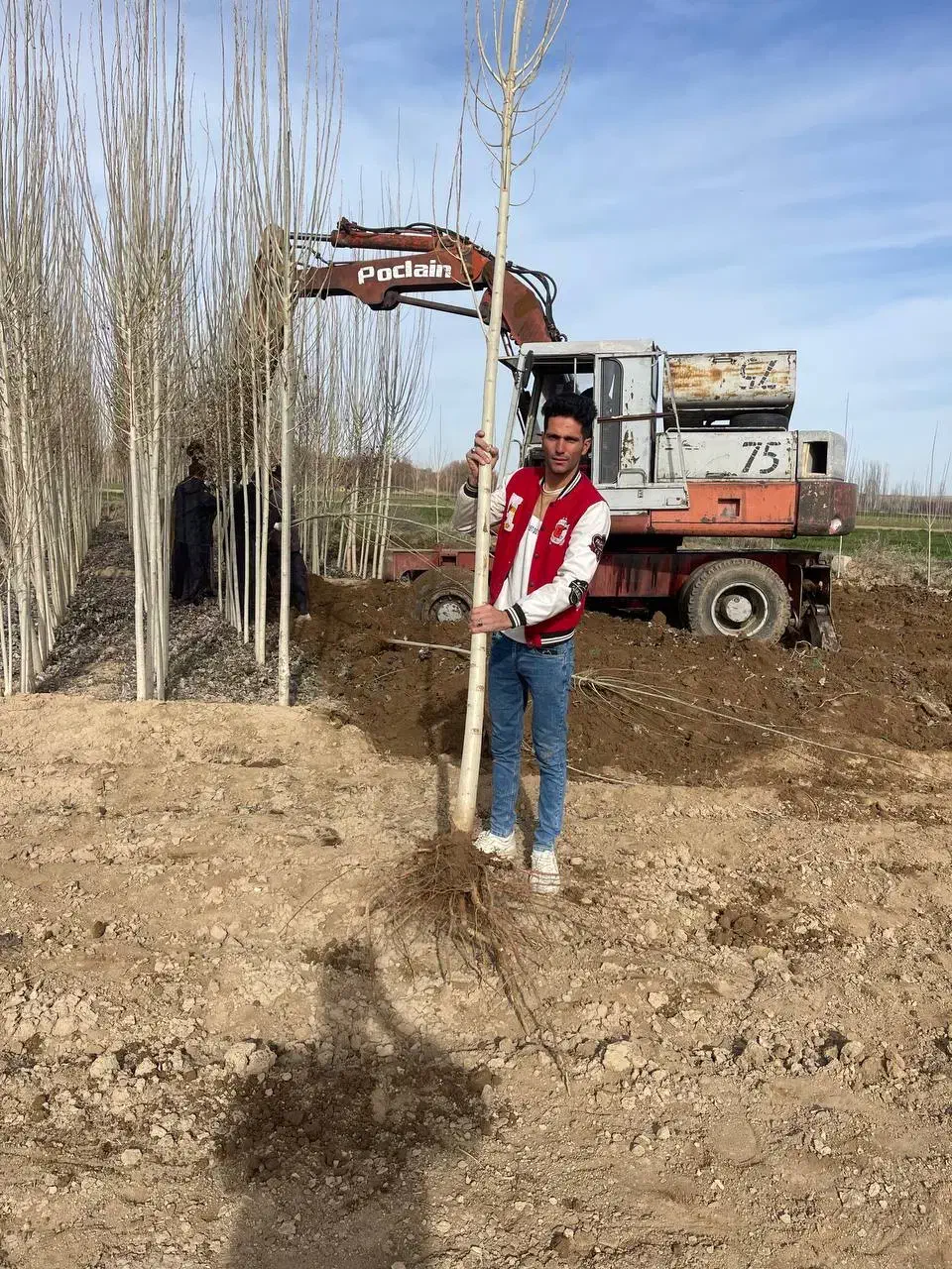 فروش بدون واسطه نهال|خدمات باغبانی و درختکاری|سردشت, |دیوار