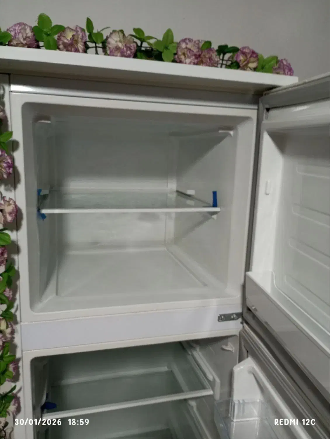 یخچال فریزر|یخچال و فریزر|تالش, هشتپر|دیوار