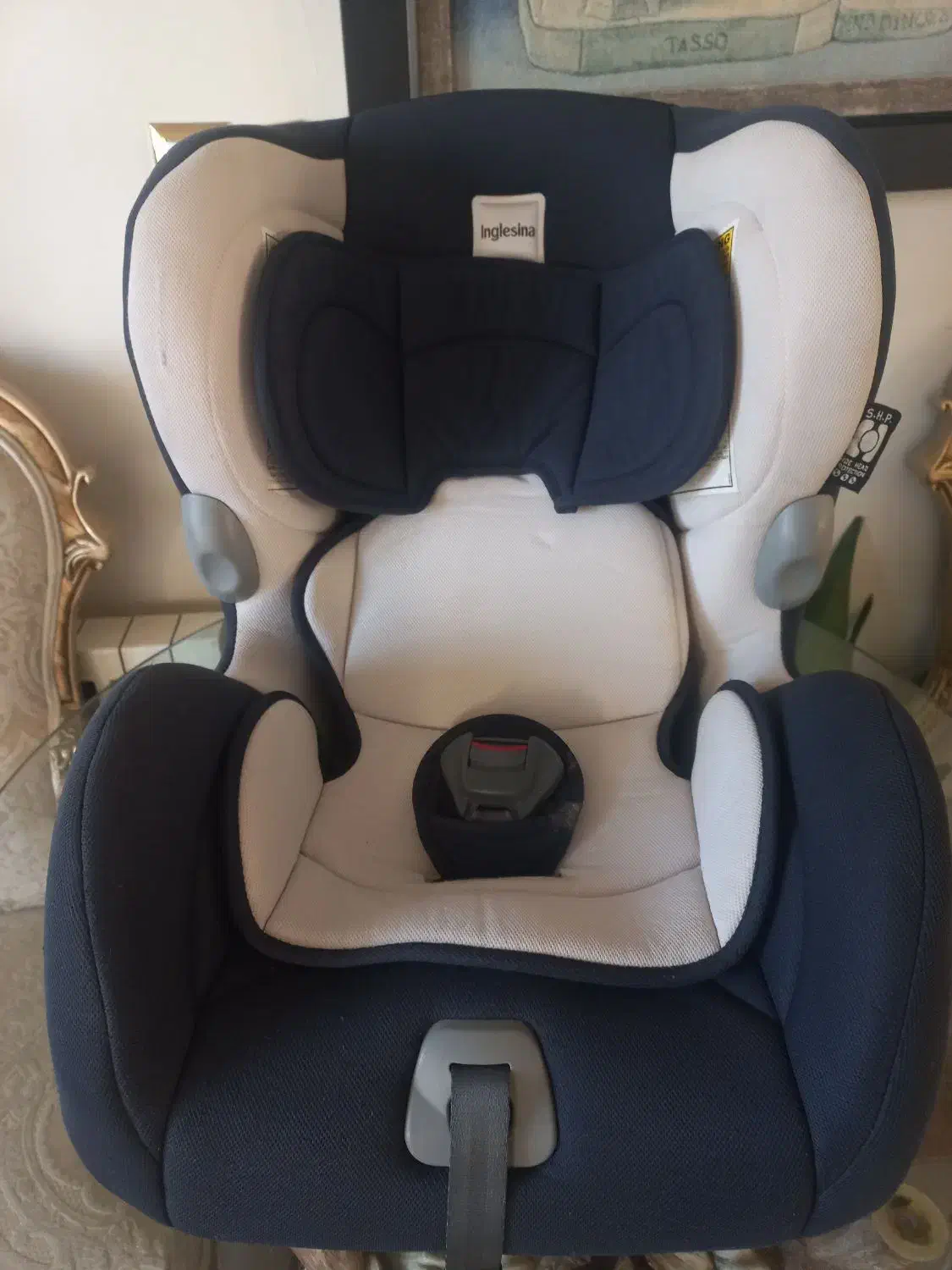 صندلی ماشین،تاب،آغوشی،قنداق|تخت و صندلی بچه|کرج, عظیمیه|دیوار