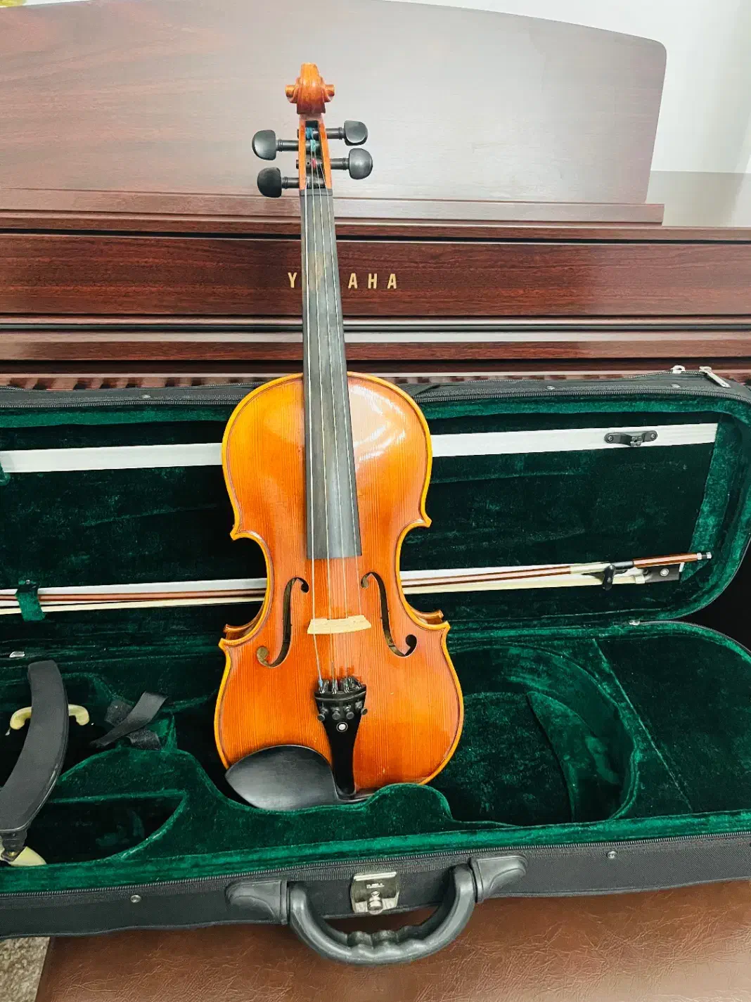 ویولن دست ساز حرفه ای با شناسنامه و لوازم کامل|ویولن|شیراز, ملاصدرا|دیوار