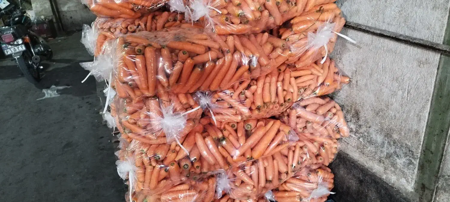 انارسیب هویج آبگیری قیمت عمده ارسال به سراسرتهران|خوردنی و آشامیدنی|تهران, میدان میوه و تره‌بار مرکزی|دیوار