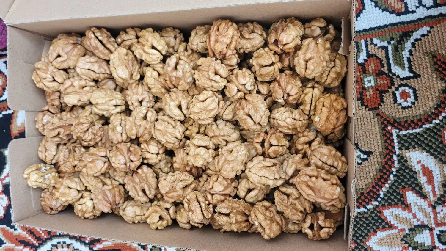 مغز گردو درجه۱|خوردنی و آشامیدنی|خوی, |دیوار