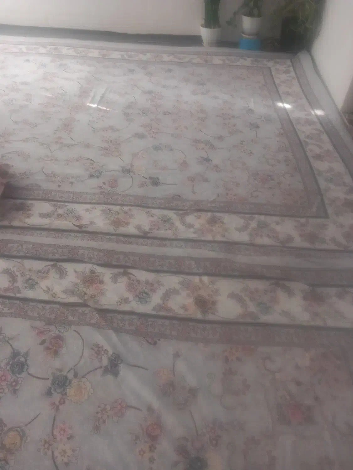 روفرشی|روفرشی|فیروزه, |دیوار