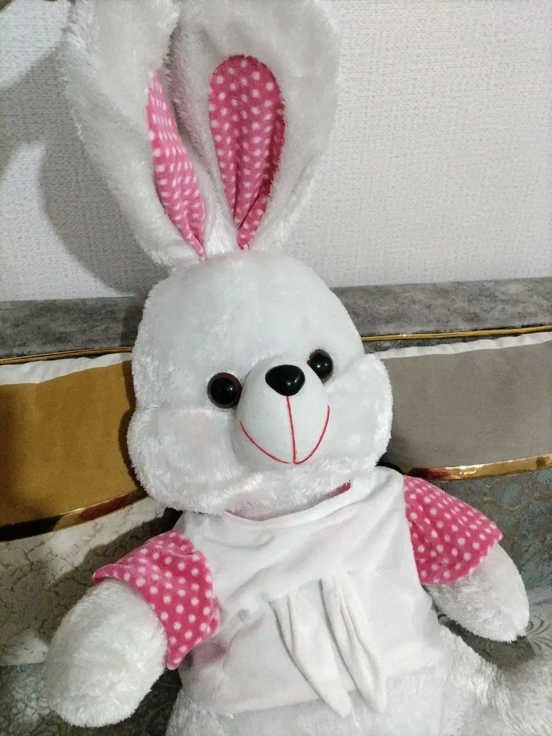 یک عددخرگوش بزرگ زیباتمیزدرحدنو|اسباب‌‌بازی|قدس, شهر‌قدس|دیوار