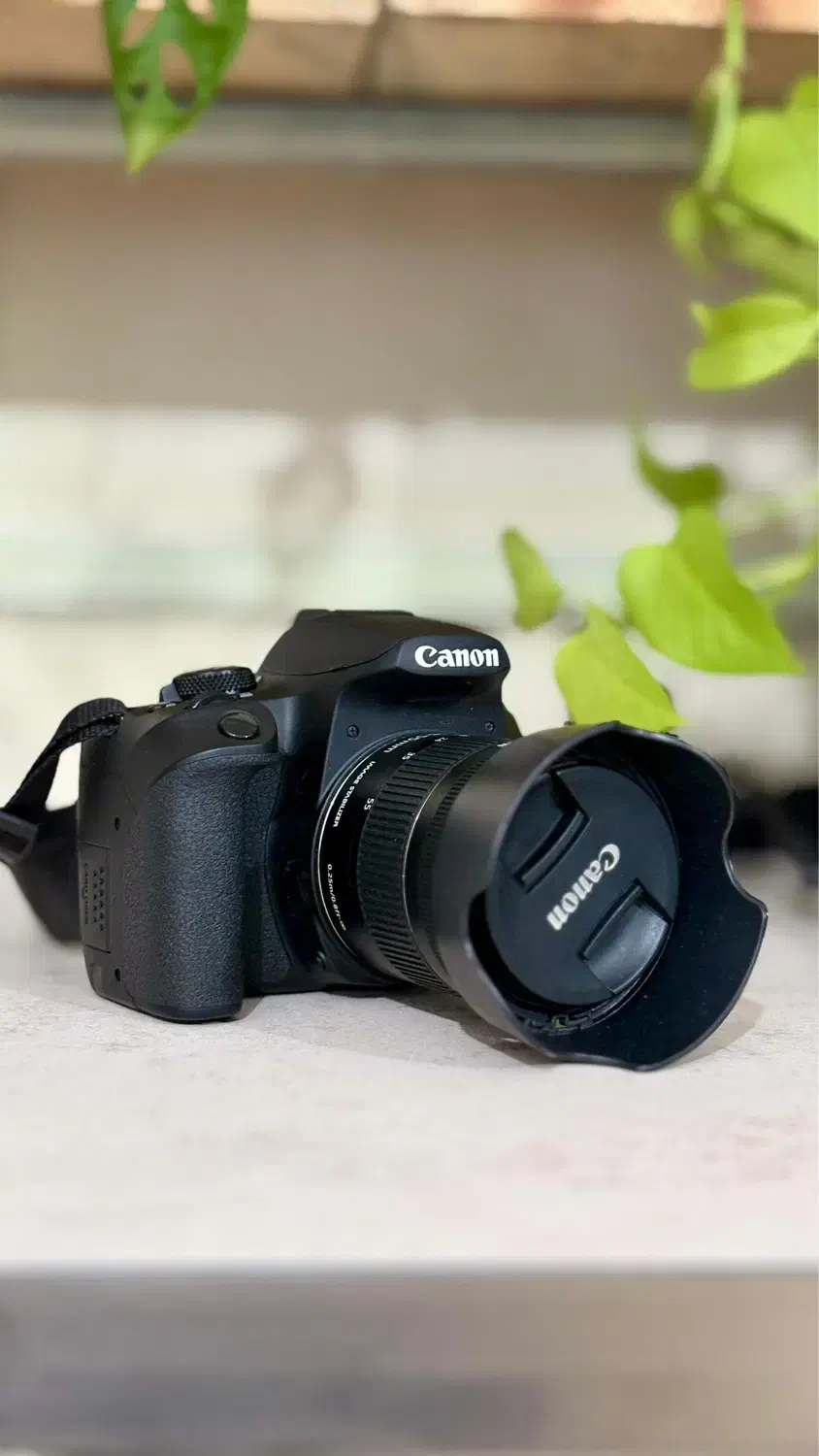 دوربین عکاسی|دوربین عکاسی و فیلم‌برداری|بوشهر, |دیوار