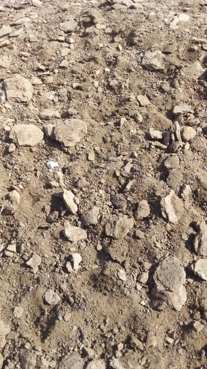 کودحیوانی|لوازم جانبی حیوانات|بمپور, |دیوار