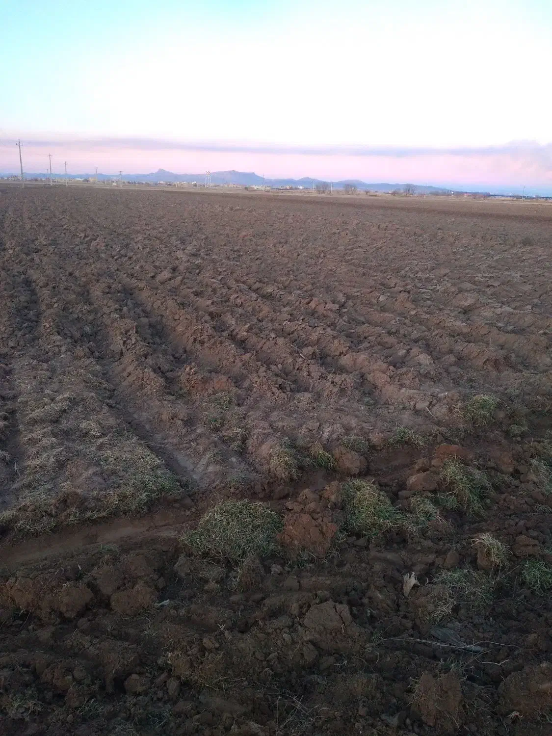 آبیاری بارانی برای کاشت گندم|خدمات باغبانی و درختکاری|کبودرآهنگ, |دیوار