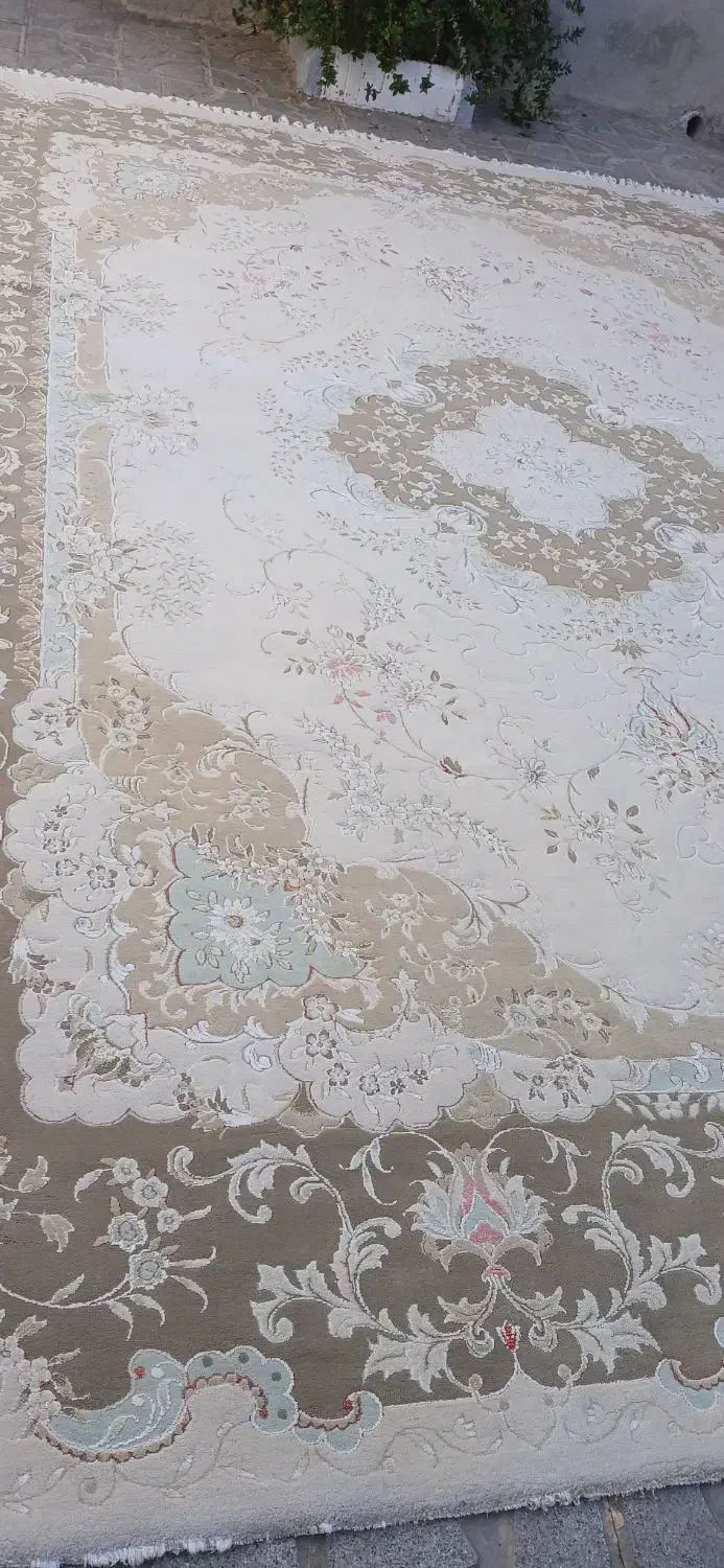 قالی ۱۲متری تمیزوسالم بدون کوچکترین پارگی یاسوختگی|فرش|تربت جام, میان جام|دیوار