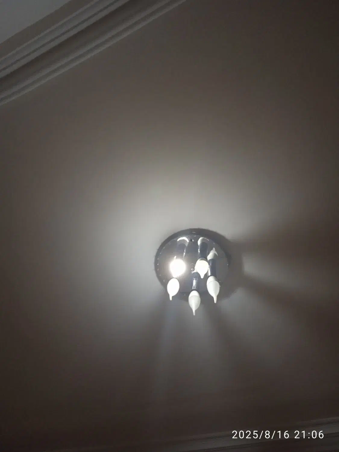 دوعدد لوستر|لوستر و چراغ آویز|تبریز, |دیوار