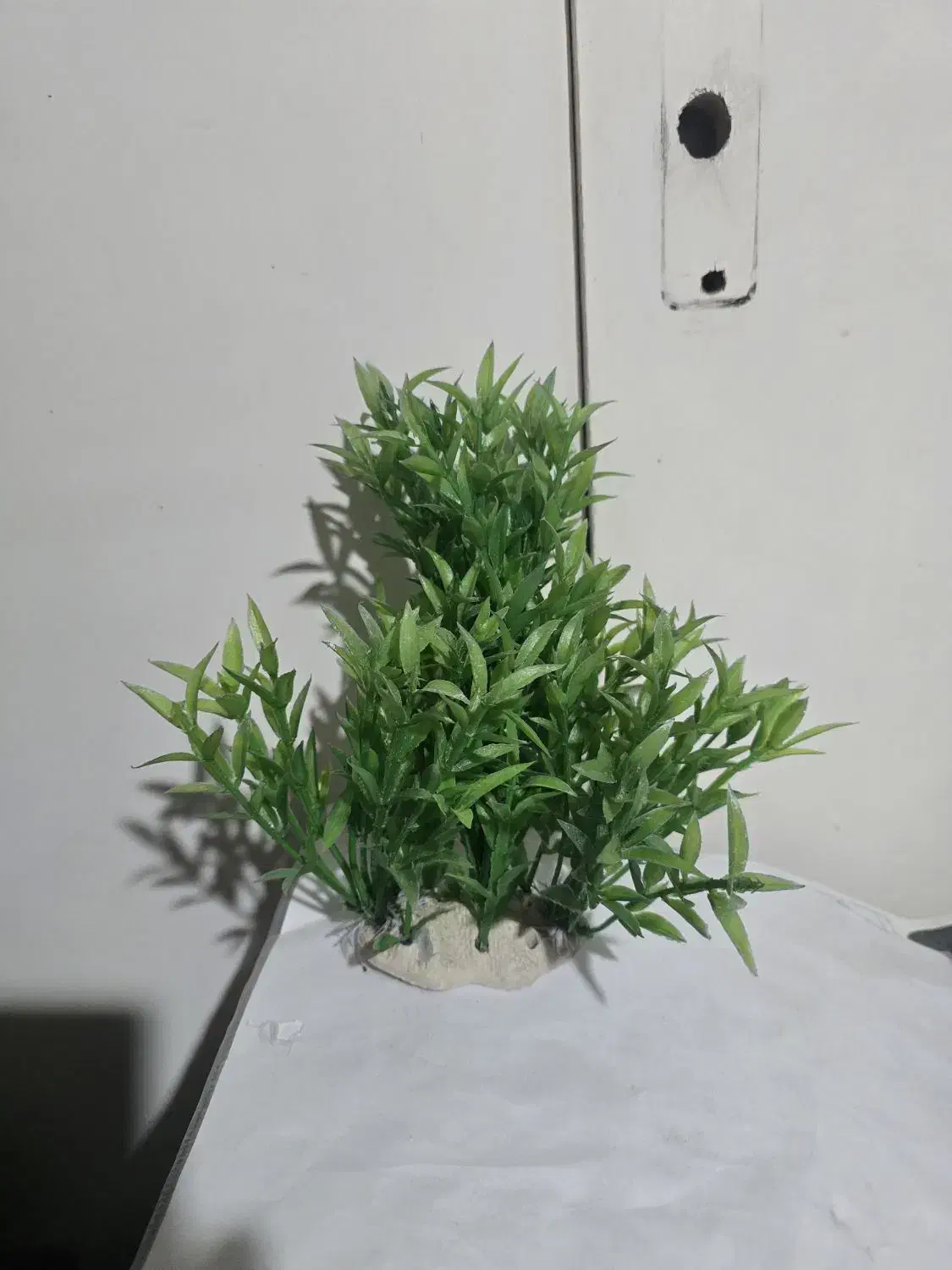 گل مصنوعی آکواریوم|ماهی|ارومیه, |دیوار