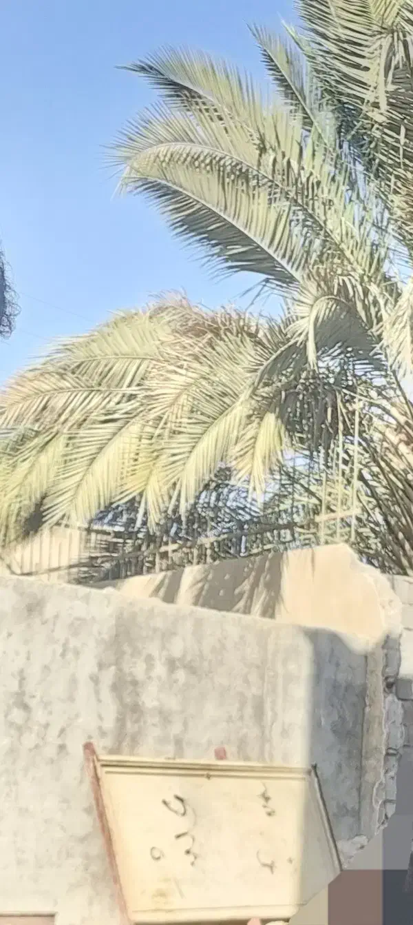 درب حیاط|مصالح و تجهیزات ساختمان|بوشهر, |دیوار