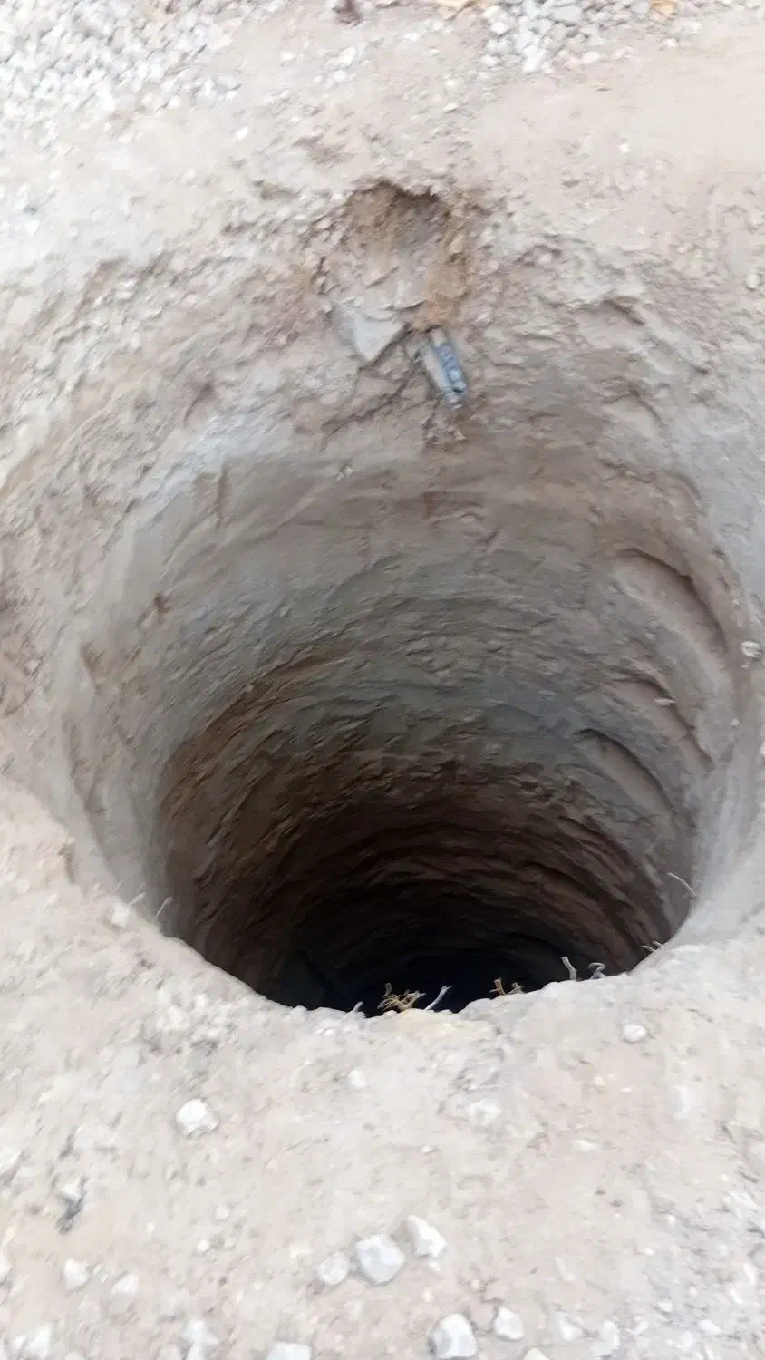 چاه کن|خدمات باغبانی و درختکاری|بوشهر, |دیوار