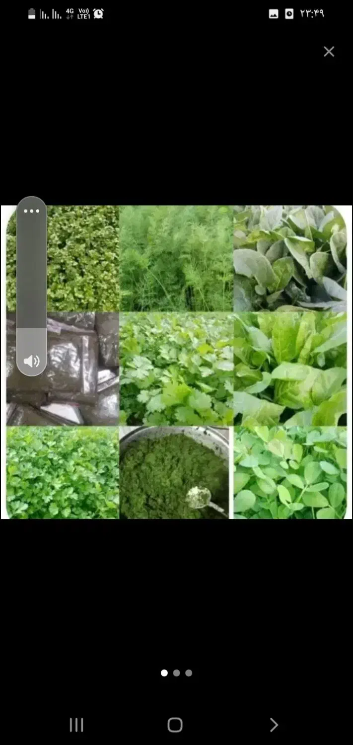 سبزی خورشتی رامهرمز|خوردنی و آشامیدنی|شاهین‌شهر, فردوسی|دیوار