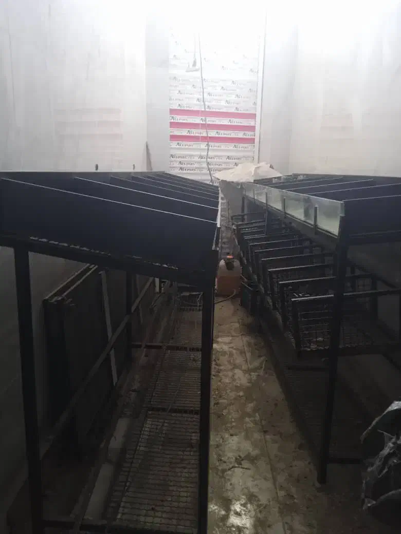 دکور میوه فروشی شیک|حراج|مرودشت, مختارآباد|دیوار