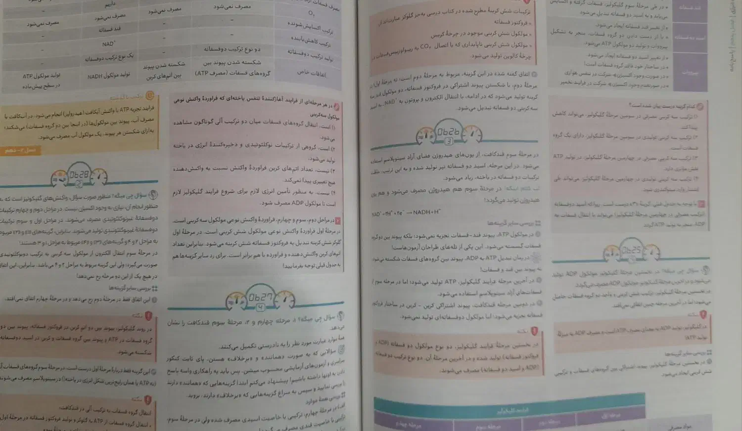 آیکیو IQ زیست ۳ دوازدهم گاج|کتاب و مجله آموزشی|ساری, |دیوار