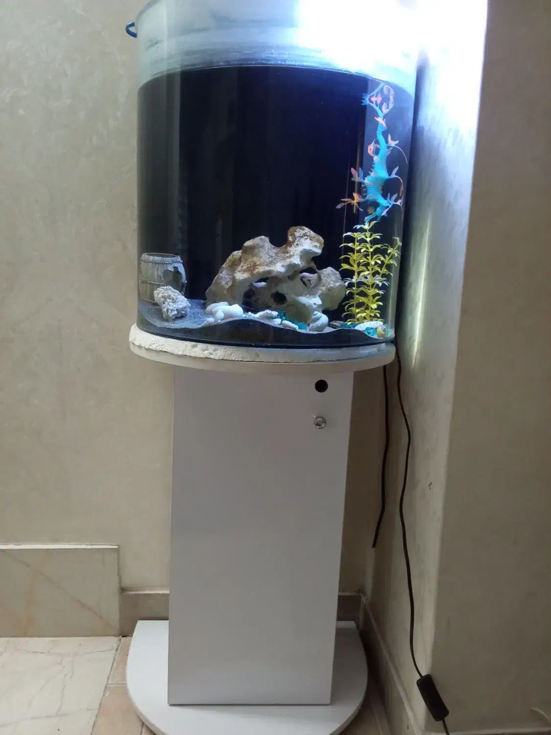 آکواریوم شیشه خم با تمام لوازم کامل|ماهی|تهران, شهرک ولیعصر جنوبی|دیوار