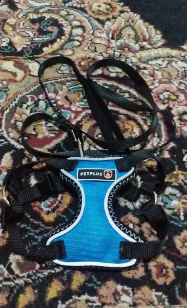 سینی ادرار ،قلاده سگ|لوازم جانبی حیوانات|شیراز, هفت تنان|دیوار