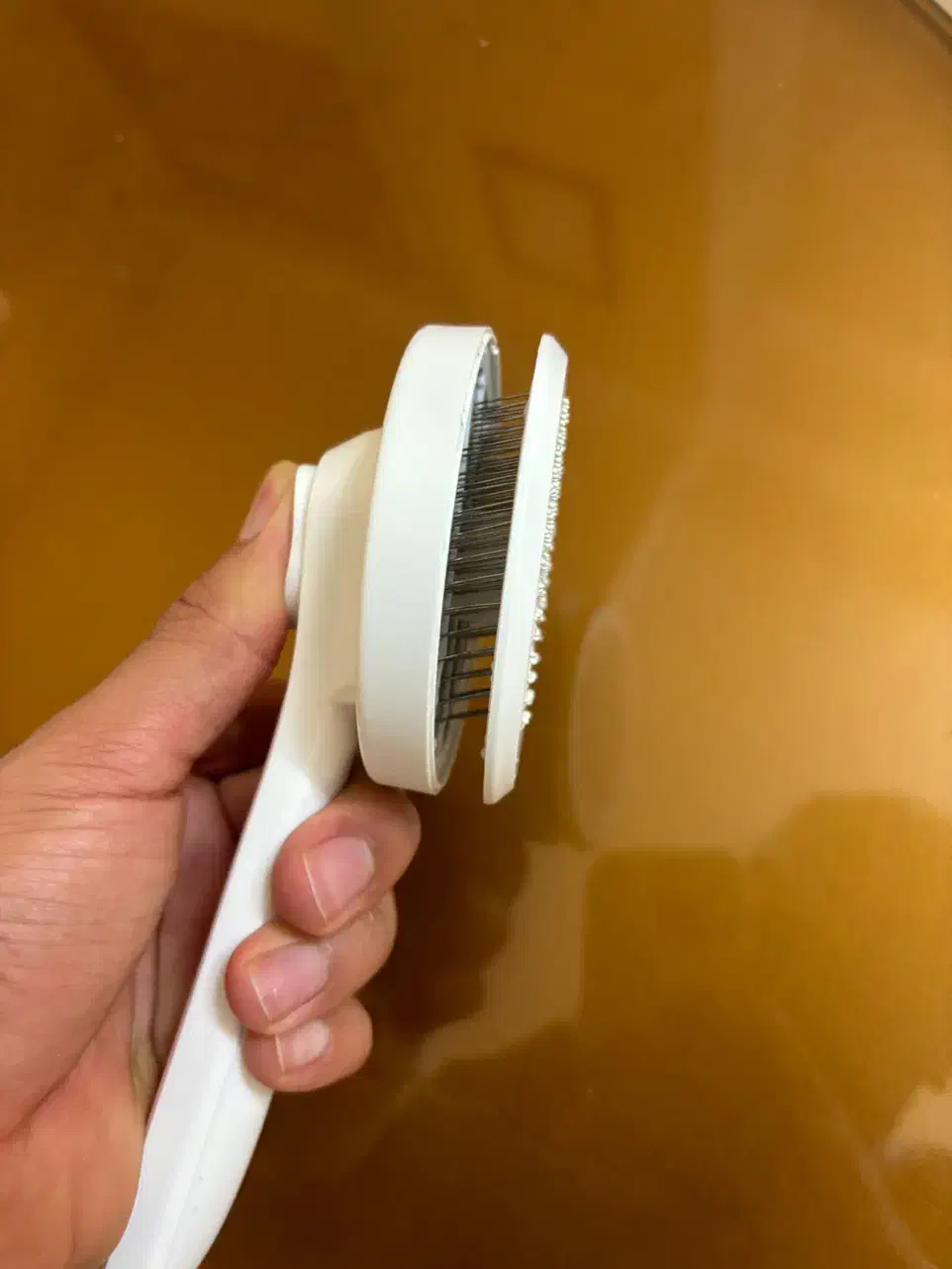 برس موی گربه|لوازم جانبی حیوانات|قزوین, |دیوار